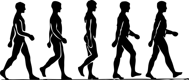 Human Lunar Locomotion